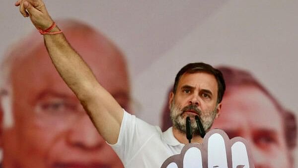 <div class="paragraphs"><p>Congress leader Rahul Gandhi holds a copy of the constitution of India while addressing 'Nyay Sankalp Sabha' at Nahan for the Lok Sabha elections, in Sirmaur district.</p></div>