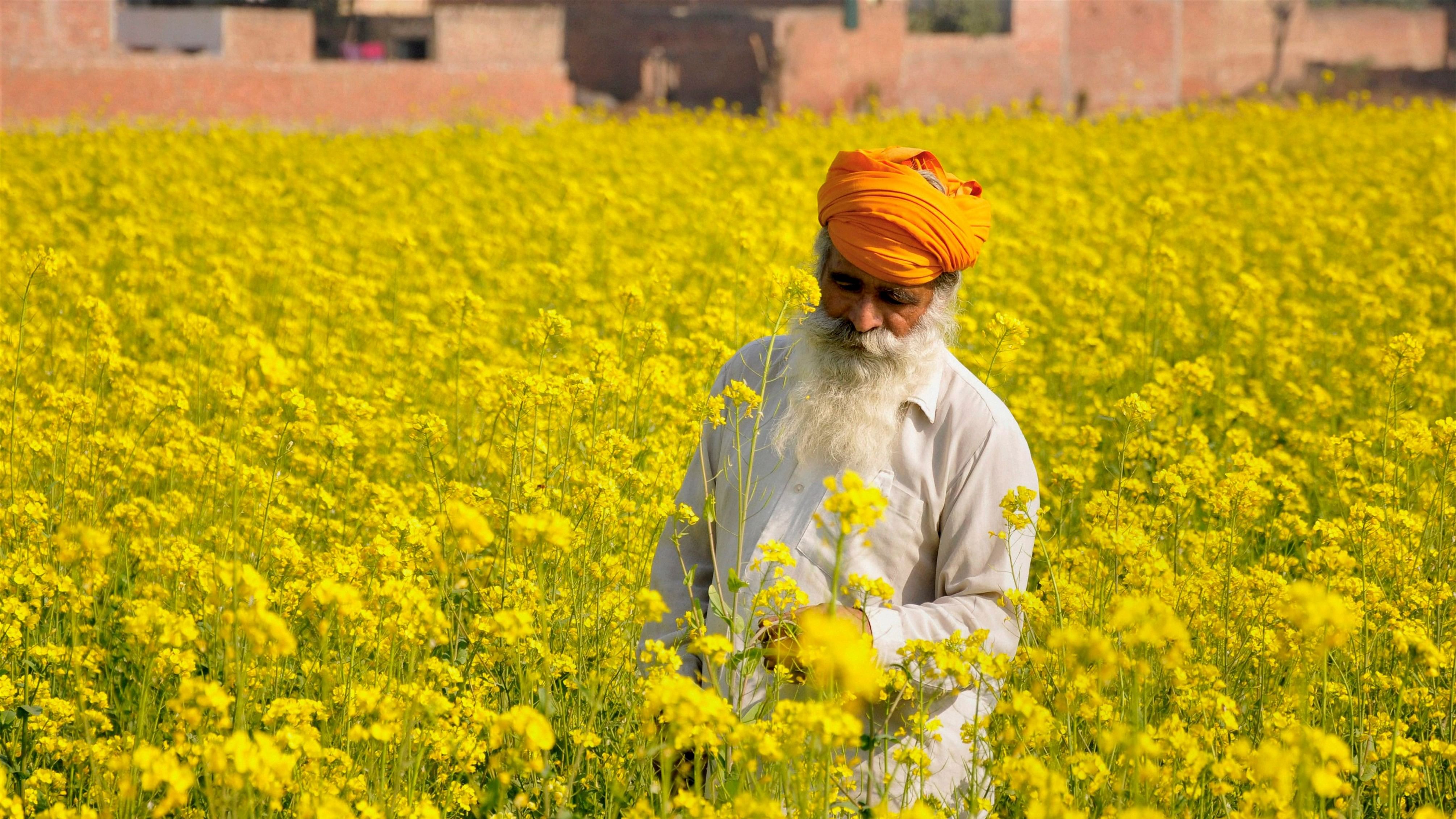 <div class="paragraphs"><p>In the backdrop of the burgeoning farmer distress, there is a spiralling drug menace and renewed sprouting of radical sentiments in Punjab. </p></div>