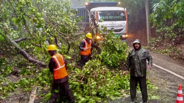 <div class="paragraphs"><p>Disaster response force personnel remove branches of a three that fell on a road due to stong winds owing to Cyclone 'Remal', in Sepahijala district, Tripura, Monday, May 27, 2024.</p></div>