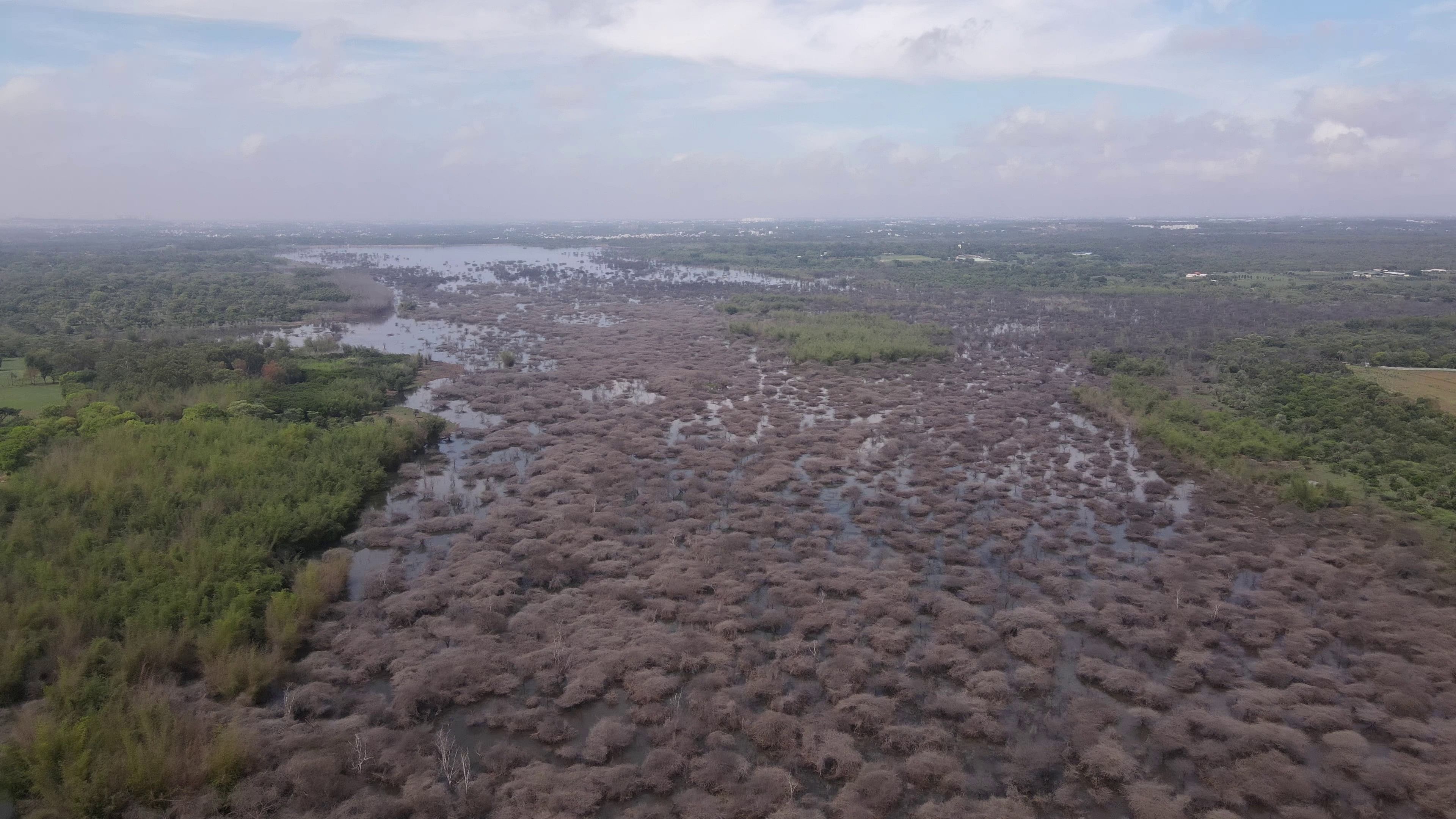 <div class="paragraphs"><p>Hesaraghatta Lake catchment is covered by trees and shrubs.</p></div>