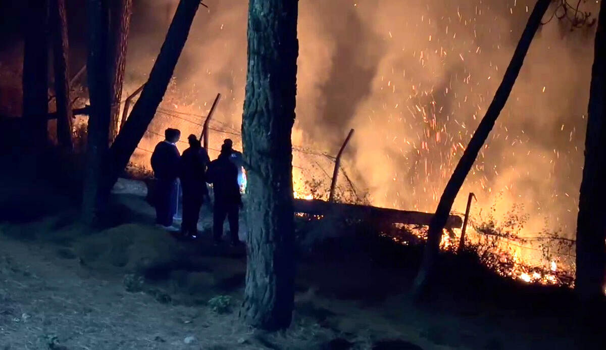 <div class="paragraphs"><p>Firefighters try to douse the flames after a fire broke out in a forest area in Uttarakhand.&nbsp;</p></div>