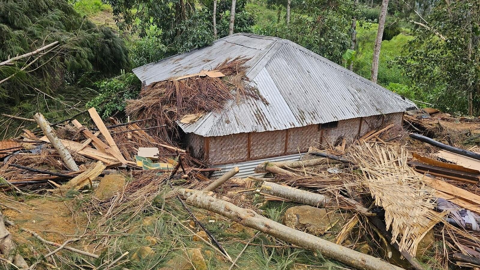 <div class="paragraphs"><p>View of the damage after a landslide in Maip Mulitaka, Enga province, Papua New Guinea.</p></div>