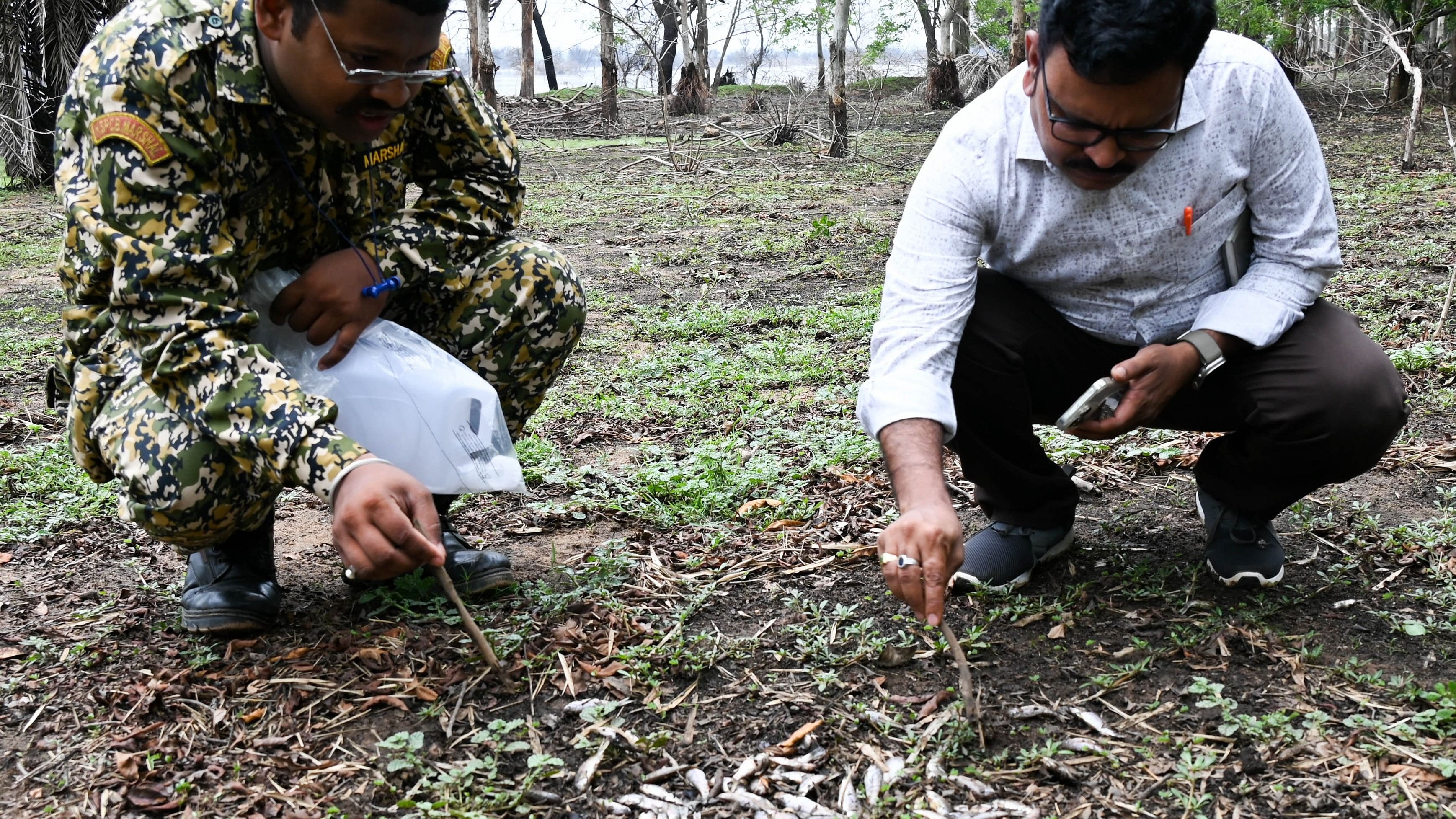 <div class="paragraphs"><p>KSPCB officials inspect the dead fish found in the eastern region of Hesaraghatta lake on Monday. </p></div>