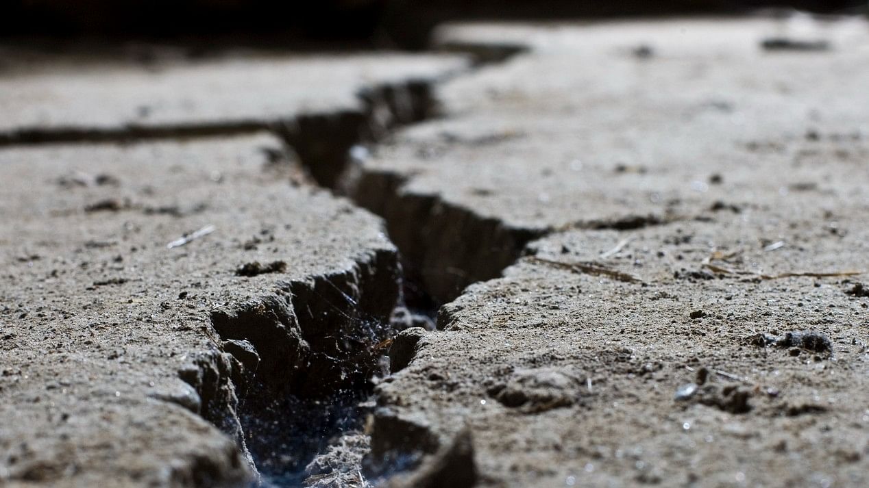 <div class="paragraphs"><p>Earthquake risk is very high in Gujarat. It has suffered nine major earthquakes in the past 200 years. Representative image</p></div>