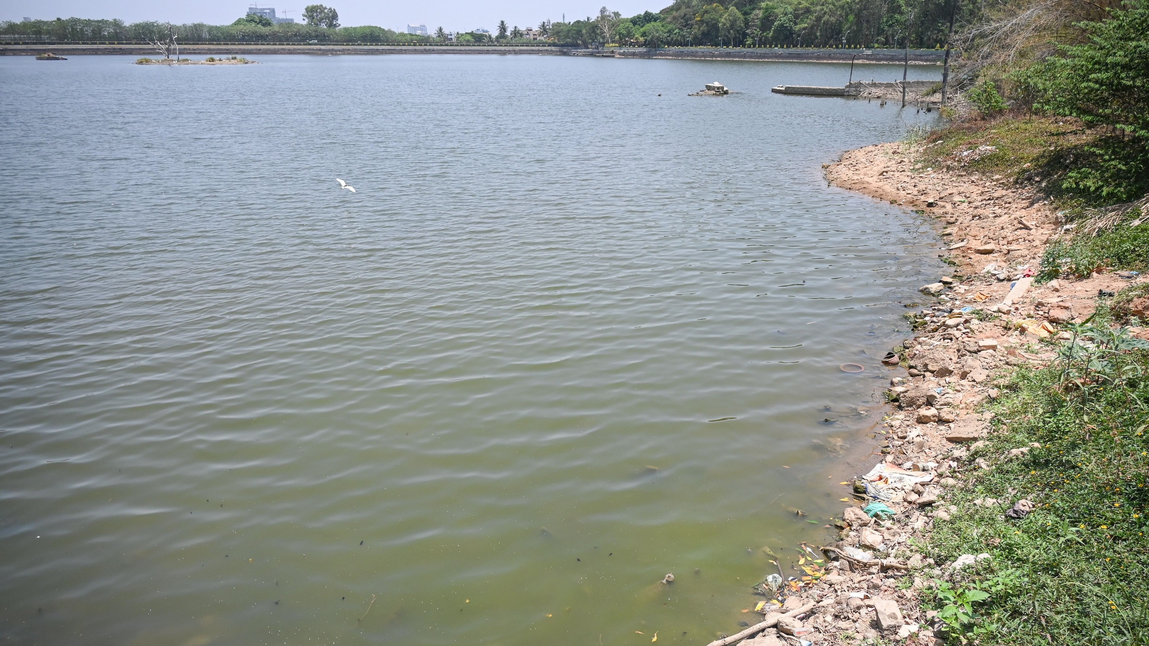 <div class="paragraphs"><p>Sankey Tank in Malleswaram. </p></div>