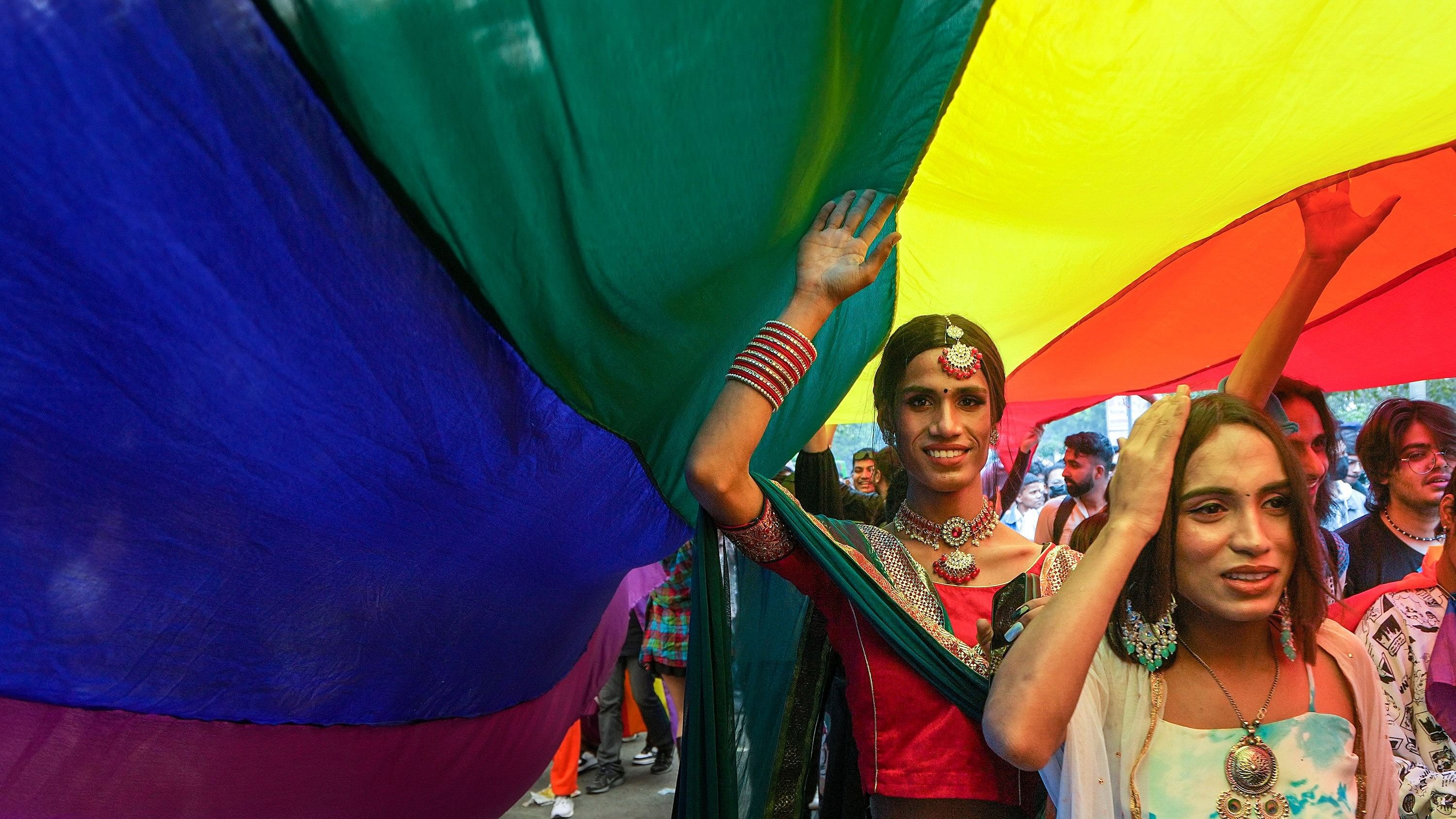 <div class="paragraphs"><p>Participants of the Delhi Queer Pride Parade  in India.</p></div>