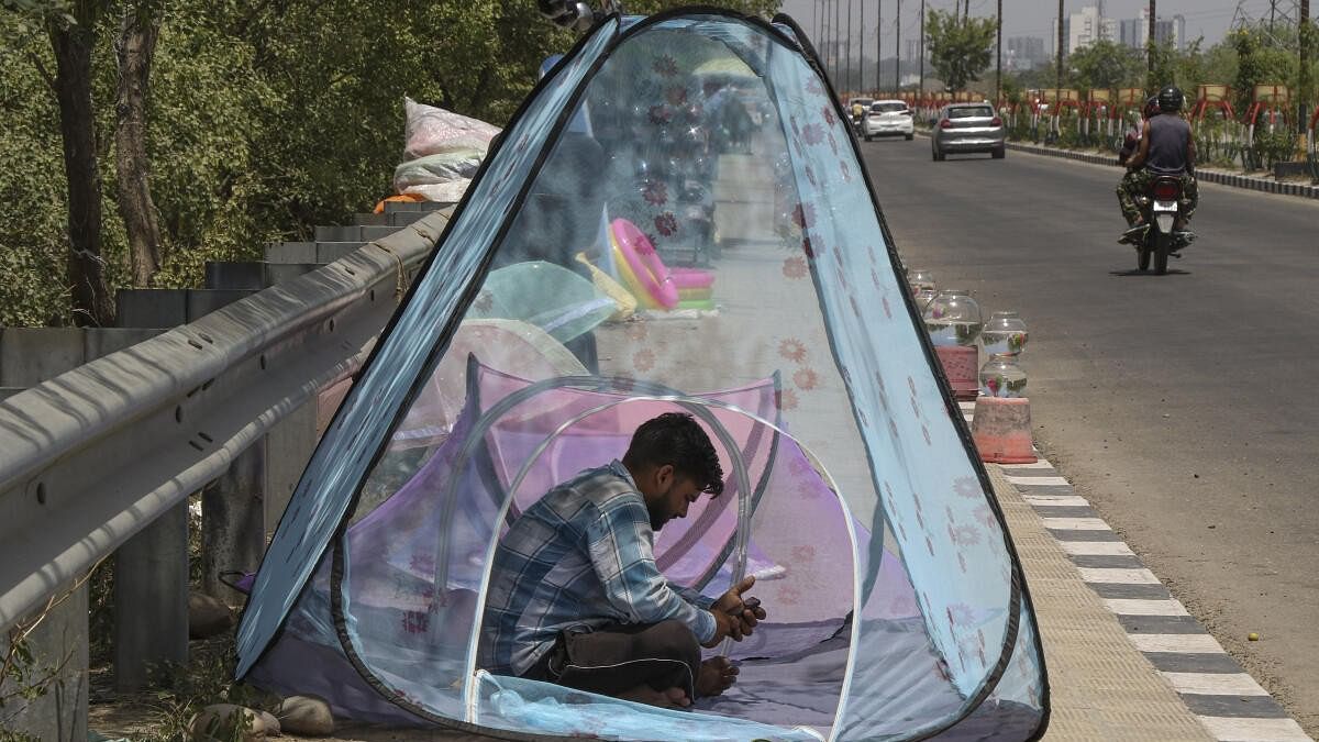 <div class="paragraphs"><p>A vendor sells mosquito nets on a hot summer day.</p></div>