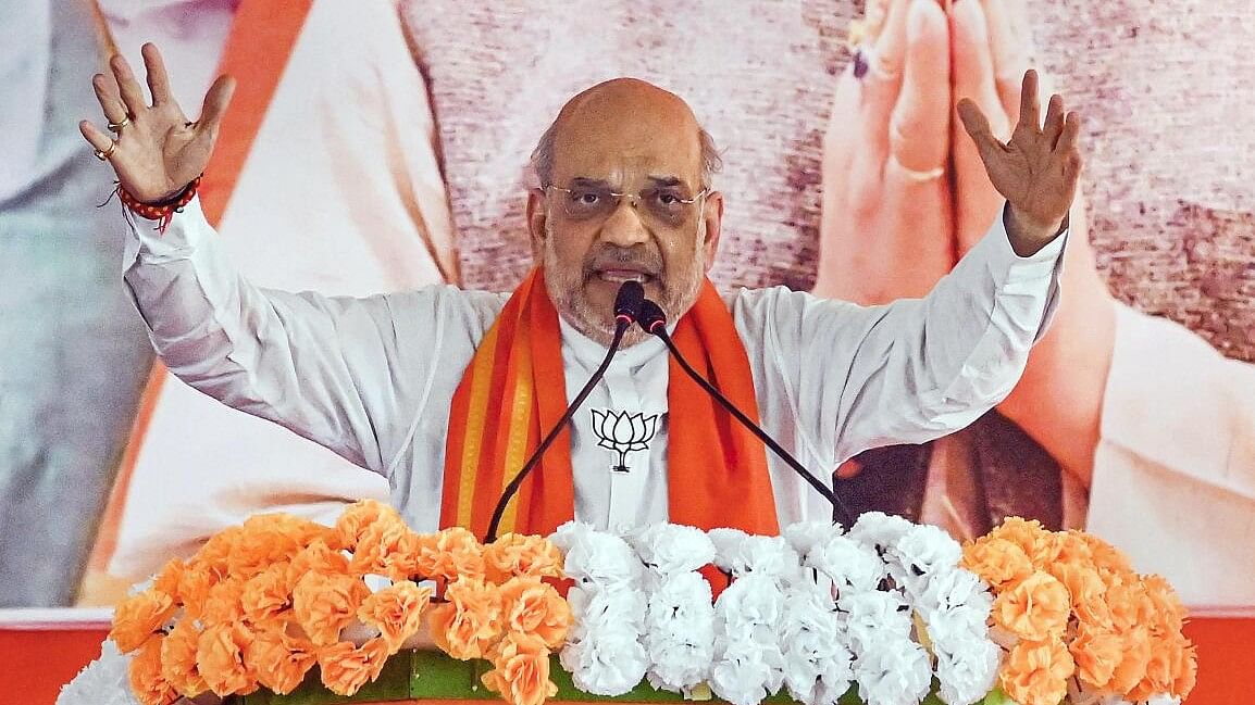 <div class="paragraphs"><p>Home Minister Amit Shah addresses a public meeting for Lok Sabha elections, in North 24 Parganas,</p></div>