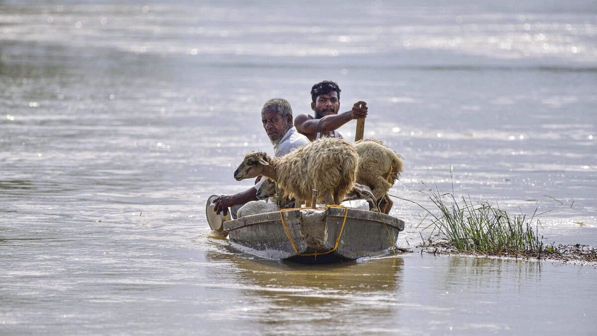 <div class="paragraphs"><p>Flood-affected people with their sheep leave on a boat for a safer place, after the area was inundated with floodwaters in the aftermath of cyclone Remal, at Kampur, in Nagaon district.</p></div>