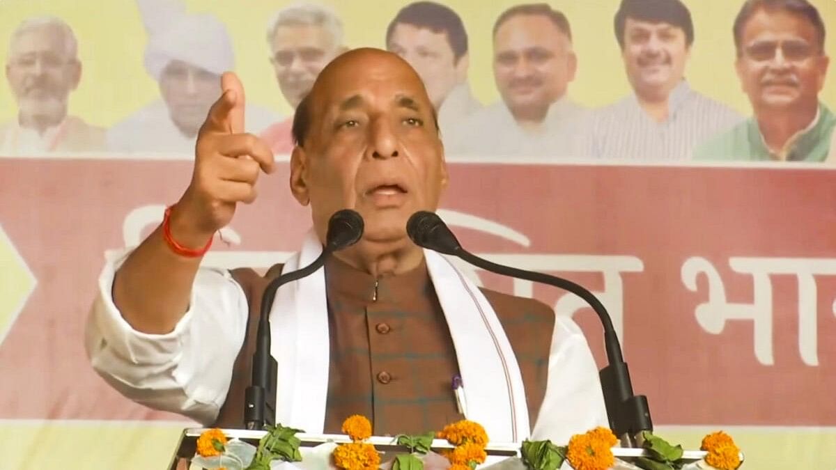 <div class="paragraphs"><p>Union Defence Minister Rajnath Singh addresses a public meeting ahead of the third phase of Lok Sabha elections, in Rohtak district.</p></div>