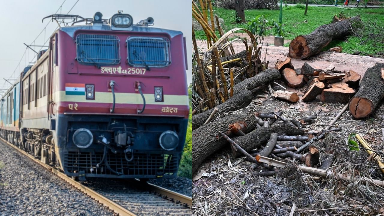 <div class="paragraphs"><p>Representative images of railways and cut trees.</p></div>