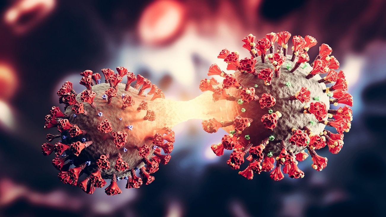 <div class="paragraphs"><p>Illustration of coronavirus.</p></div>