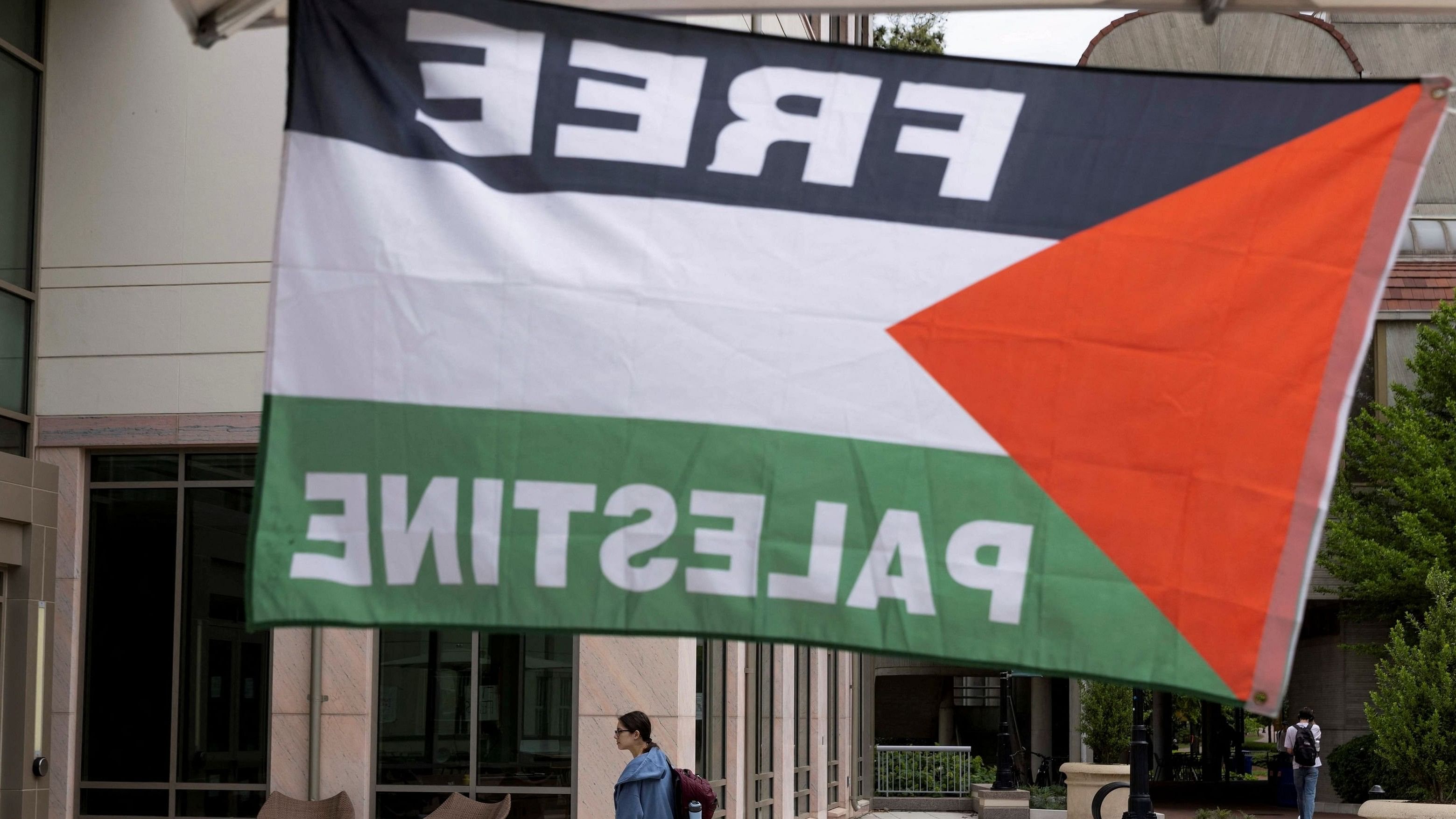 <div class="paragraphs"><p>A pro-Palestinian flag is seen in the photo. (Representative image)</p></div>