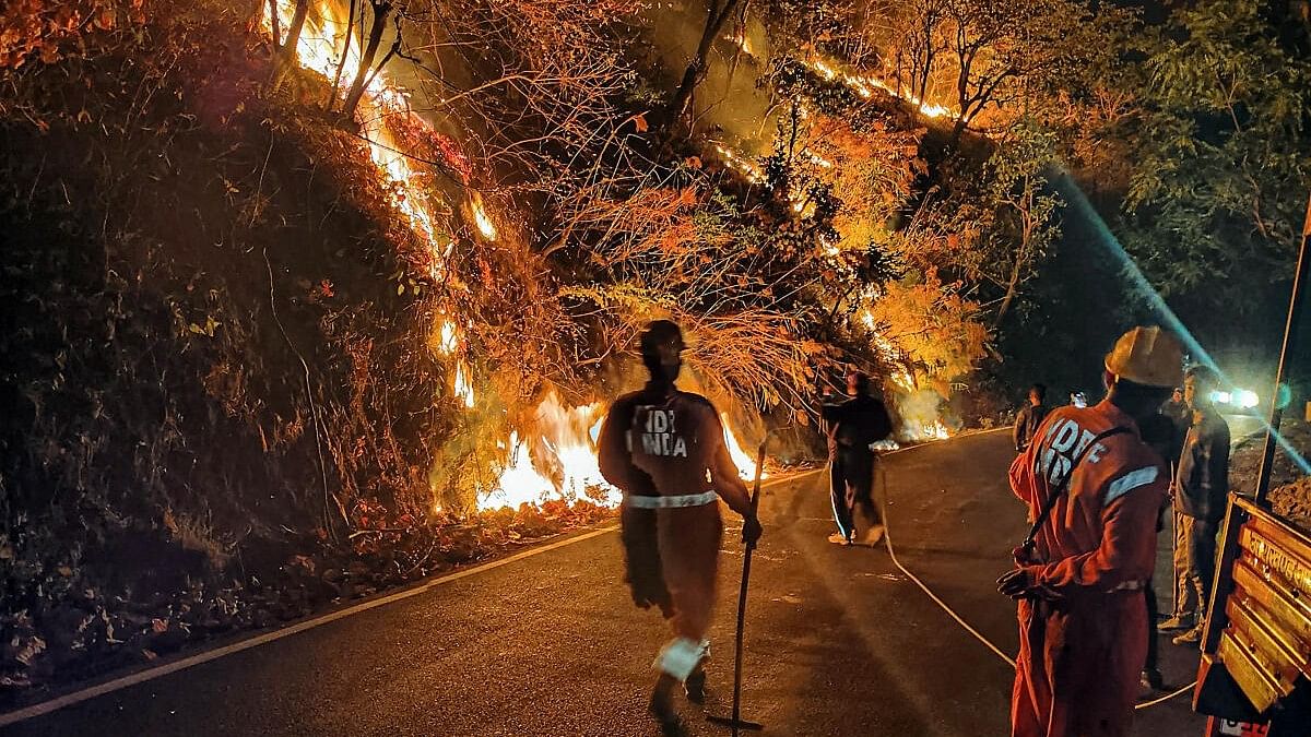 <div class="paragraphs"><p>NDRF personnel try to control a fire that broke out in the forest of Nainital district.</p></div>