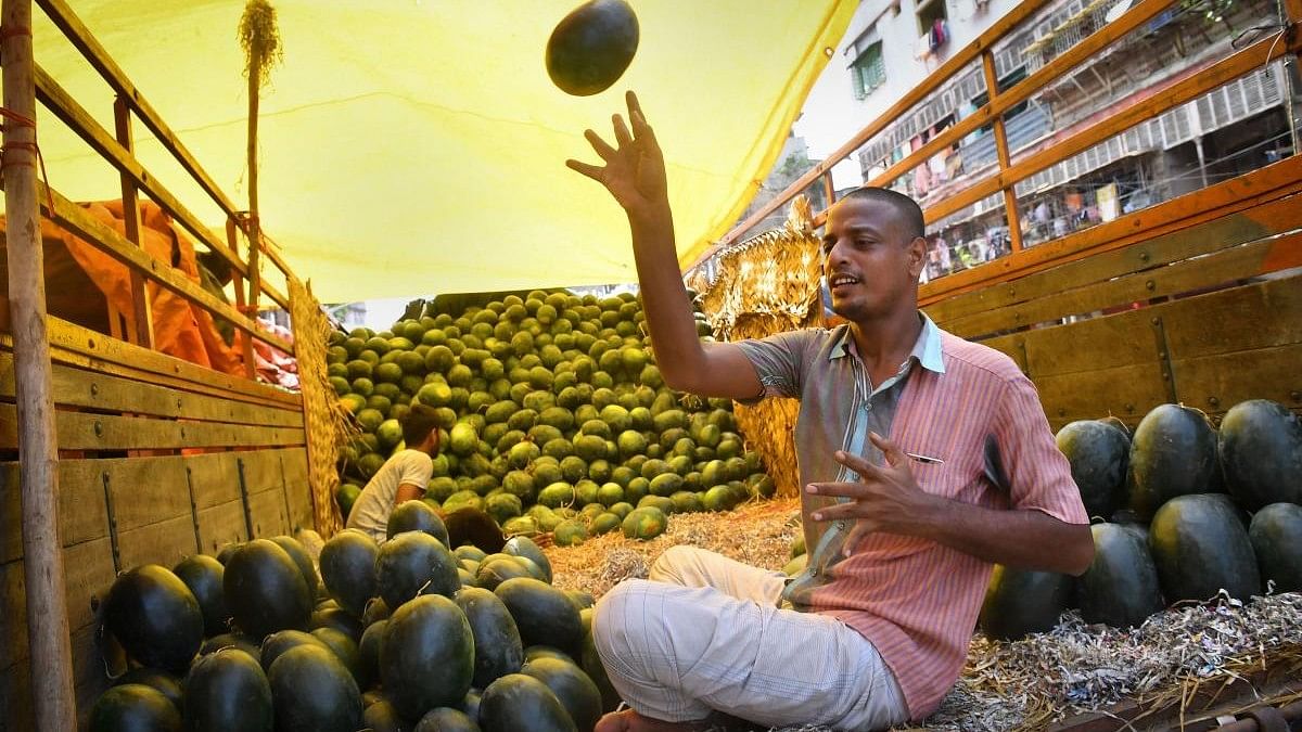 <div class="paragraphs"><p>A vendor sorts watermelons at a truck at a wholesale fruit market in Kolkata. (Representative image)</p></div>