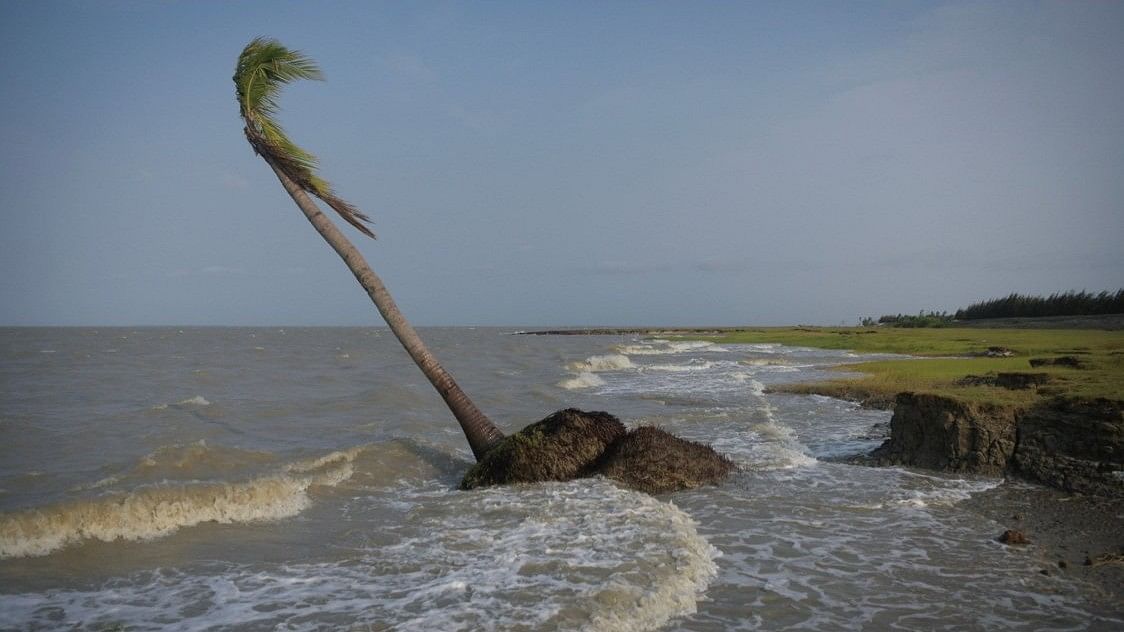 <div class="paragraphs"><p> Sundarbans delta in Bengal.</p></div>