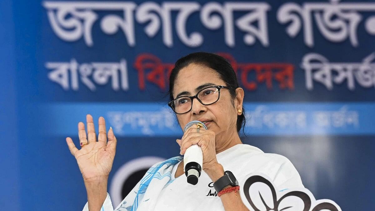 <div class="paragraphs"><p>West Bengal Chief Minister Mamata Banerjee addresses a public meeting for Lok Sabha elections in Bongaon.&nbsp;</p></div>