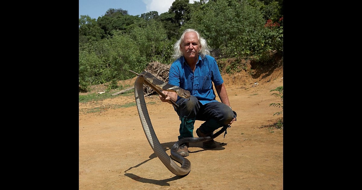 Rom Whitaker India's snakeman tells 'hiss story'