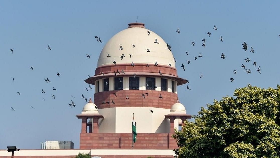 <div class="paragraphs"><p>The Supreme Court of India.</p></div>