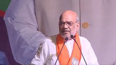 <div class="paragraphs"><p>Union Home Minister Amit Shah.</p></div>