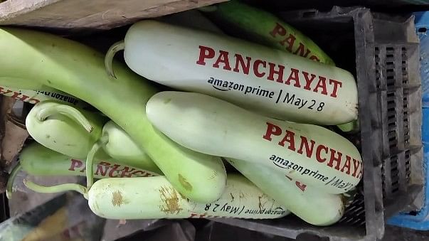 <div class="paragraphs"><p>The promotional bottle gourds, as seen in the video.</p></div>