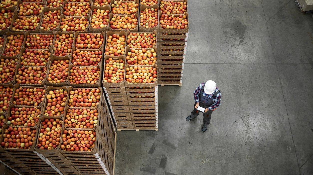 <div class="paragraphs"><p>Representative image of a wholesale market.</p></div>