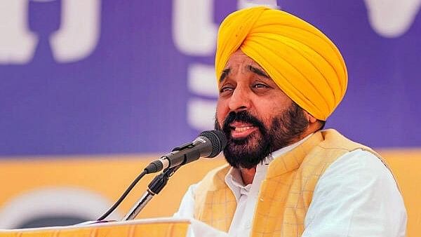 <div class="paragraphs"><p>Punjab Chief Minister and AAP leader Bhagwant Mann</p></div>