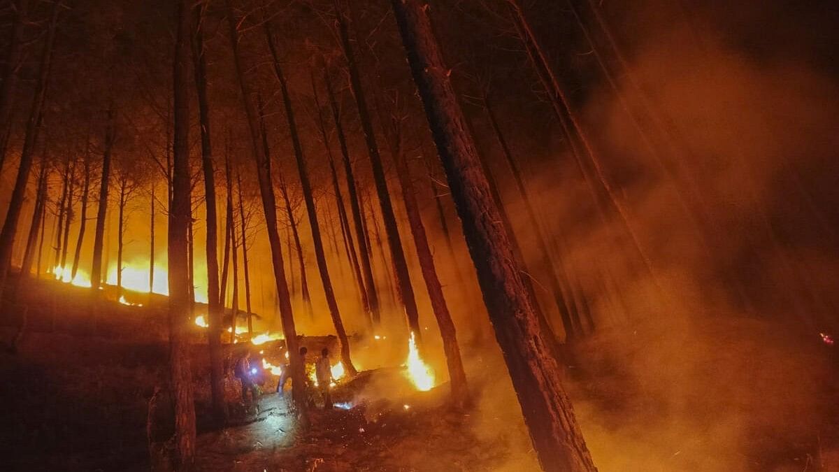 <div class="paragraphs"><p>Smoke rises from a forest fire, in Uttarkashi district.</p></div>