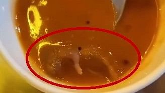 <div class="paragraphs"><p>Screengrab from a video showing the dead rat in the sambar served at an Ahmedabad eatery.</p></div>