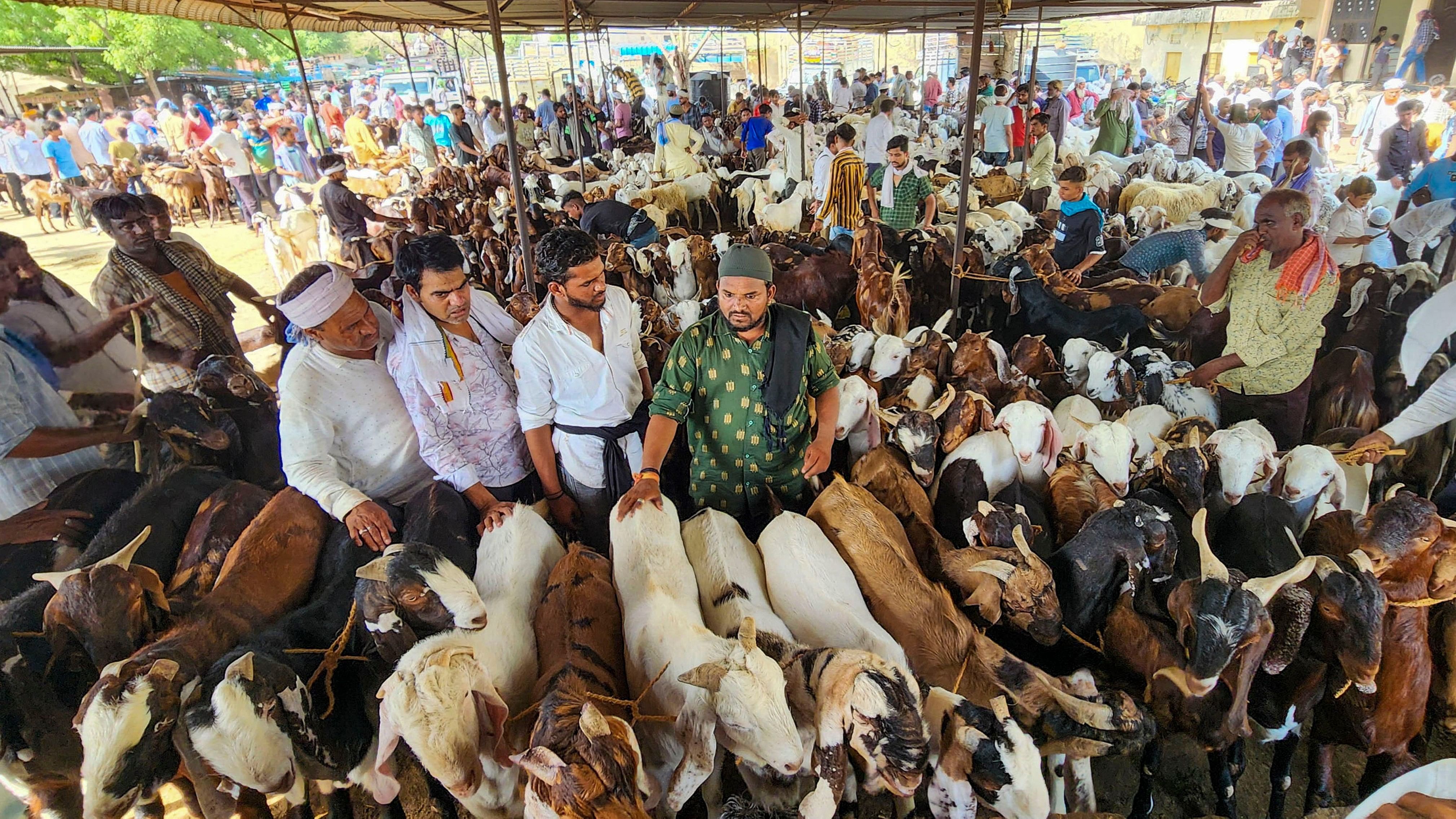 <div class="paragraphs"><p>Goats being sold ahead of Eid al-Adha (Bakra Eid), at a livestock market.</p></div>