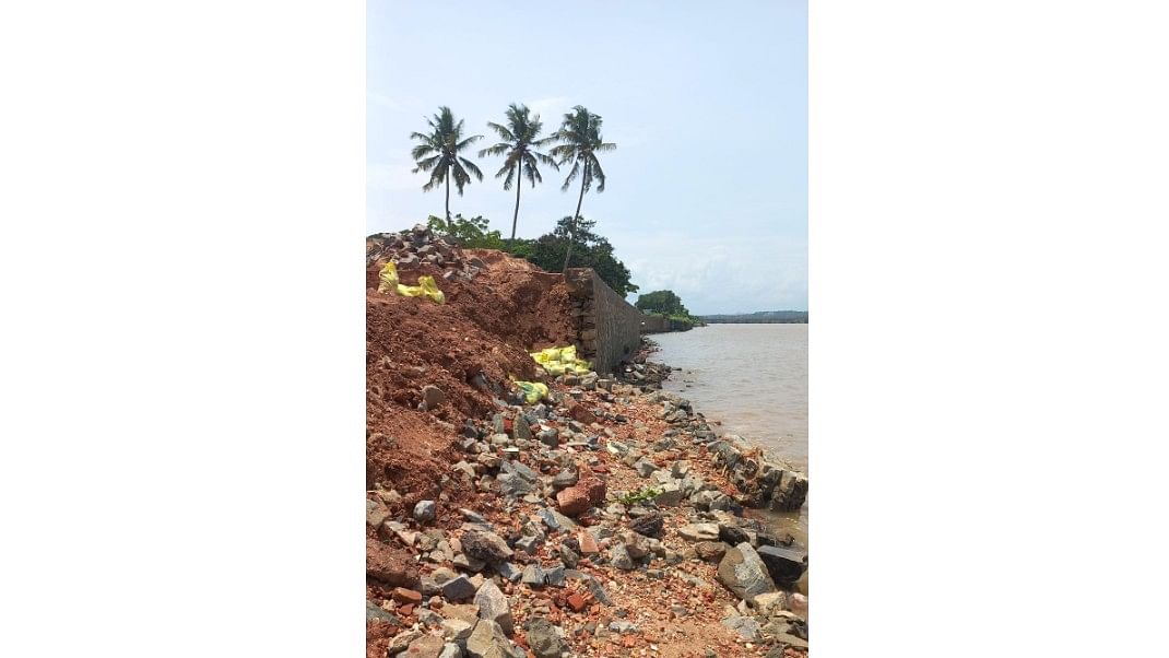 <div class="paragraphs"><p>A view of the collapsed retaining wall constructed as a part of Netravathi Riverfront Project at Mulihithlu.</p></div>