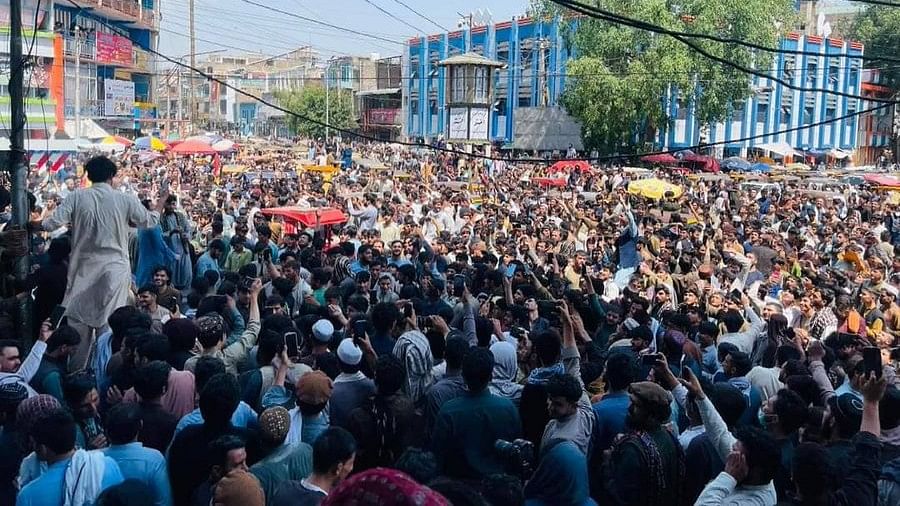 <div class="paragraphs"><p>Thousands of Afghans celebrate their team's win against Bangladesh in the T20 World Cup 2024.</p></div>