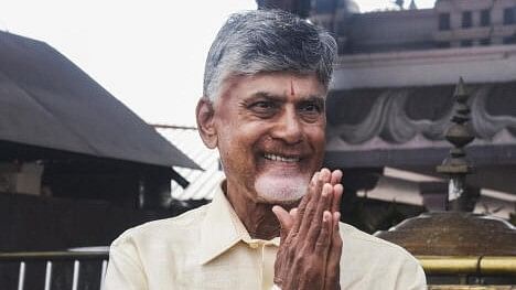 <div class="paragraphs"><p>Andhra Pradesh CM Chandrababu Naidu</p></div>