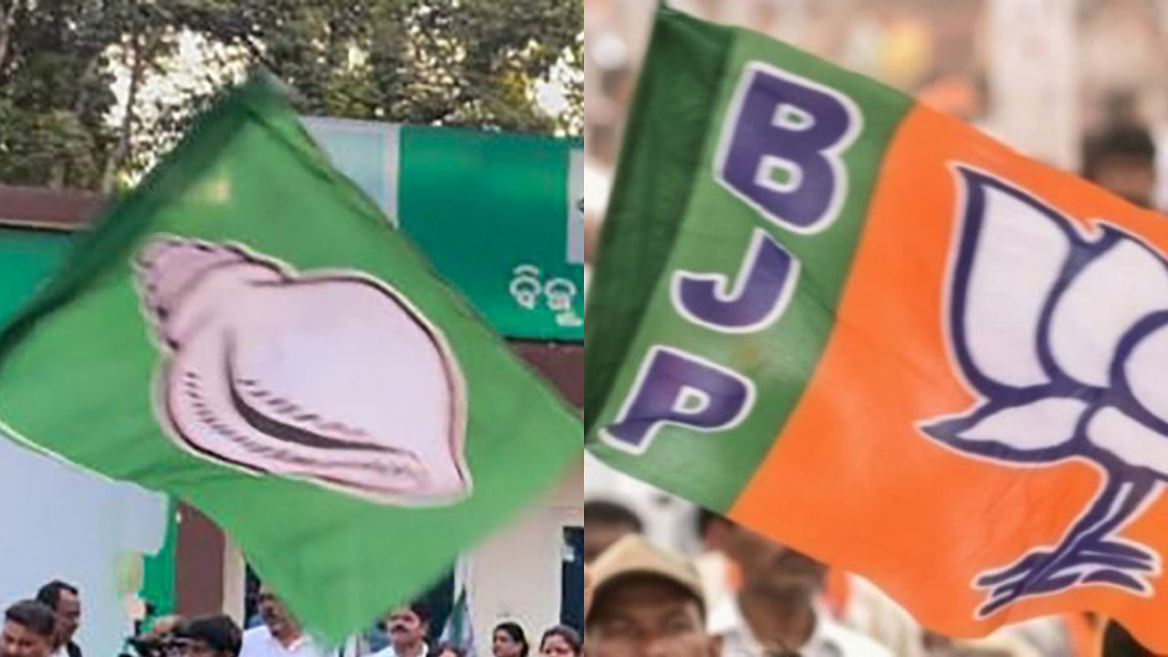 <div class="paragraphs"><p>Flags of BJD (L)&nbsp;and BJP (R)</p></div>