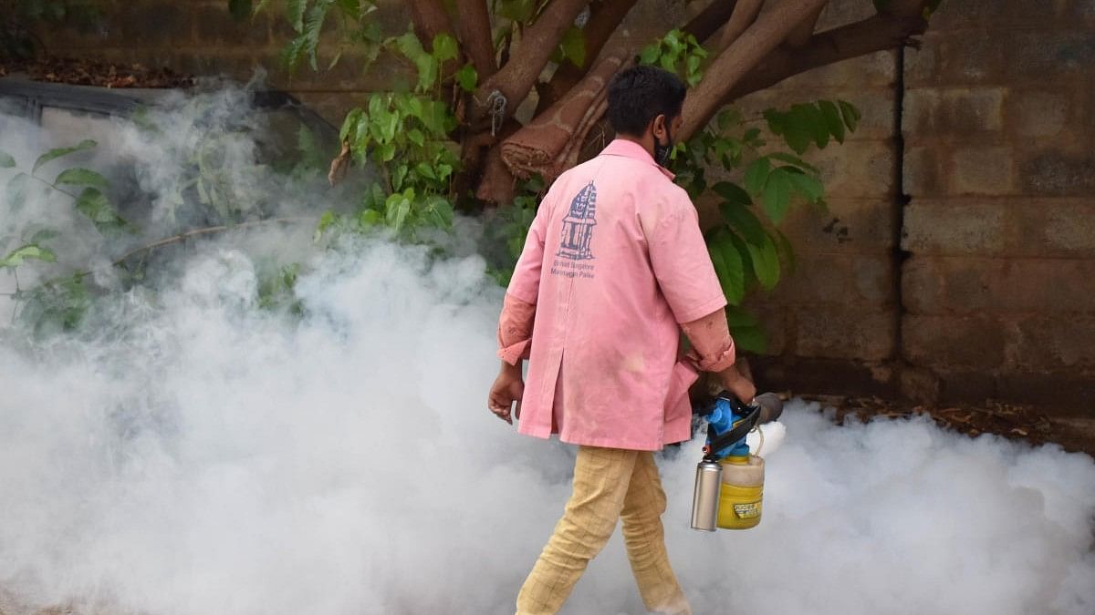 <div class="paragraphs"><p>Representative image of BBMP worker fogging amid dengue cases in state.&nbsp;</p></div>