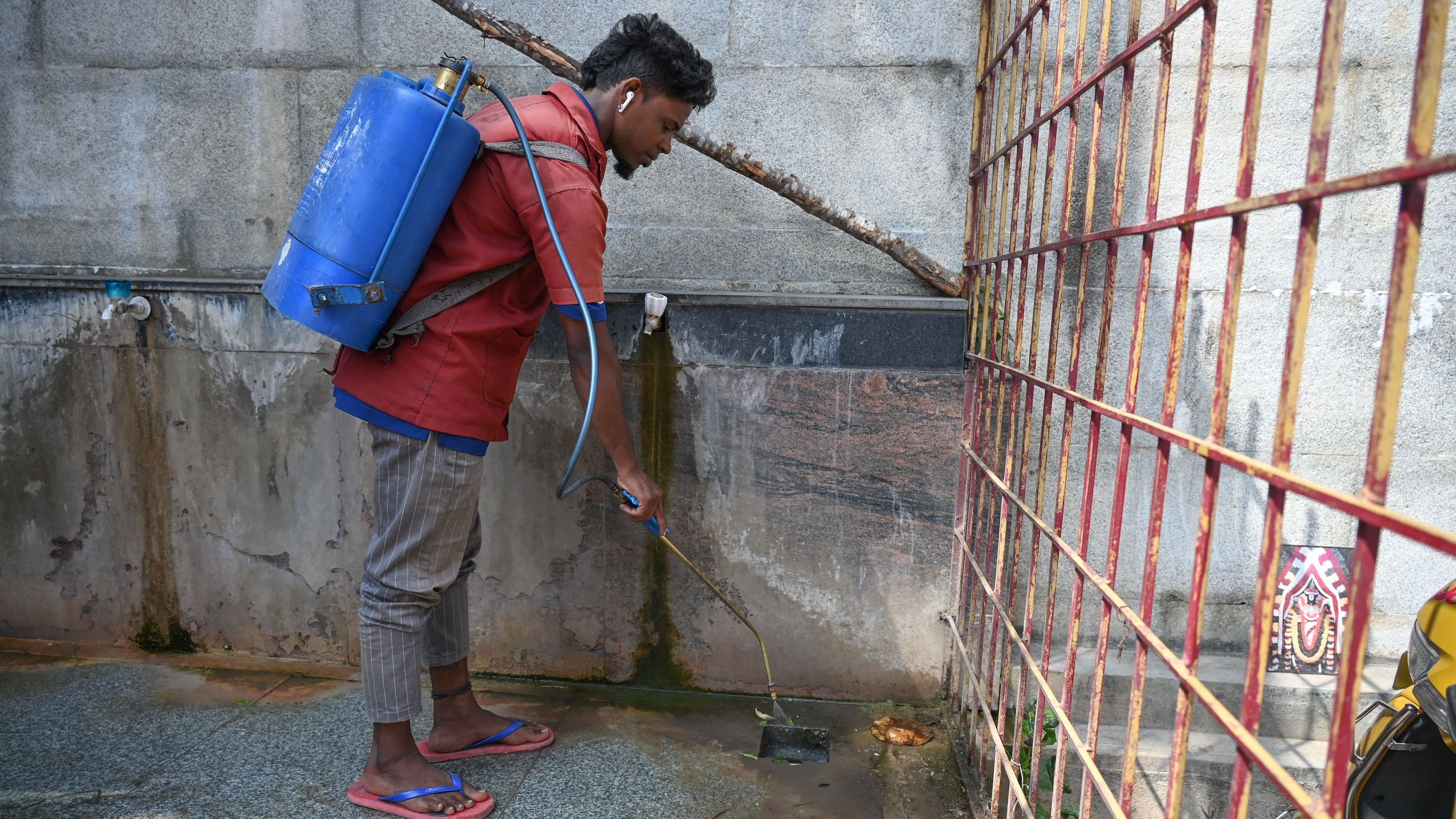 <div class="paragraphs"><p>A BBMP worker sprays&nbsp;insecticide to kill&nbsp;mosquito larvae breeding. &nbsp;</p></div>