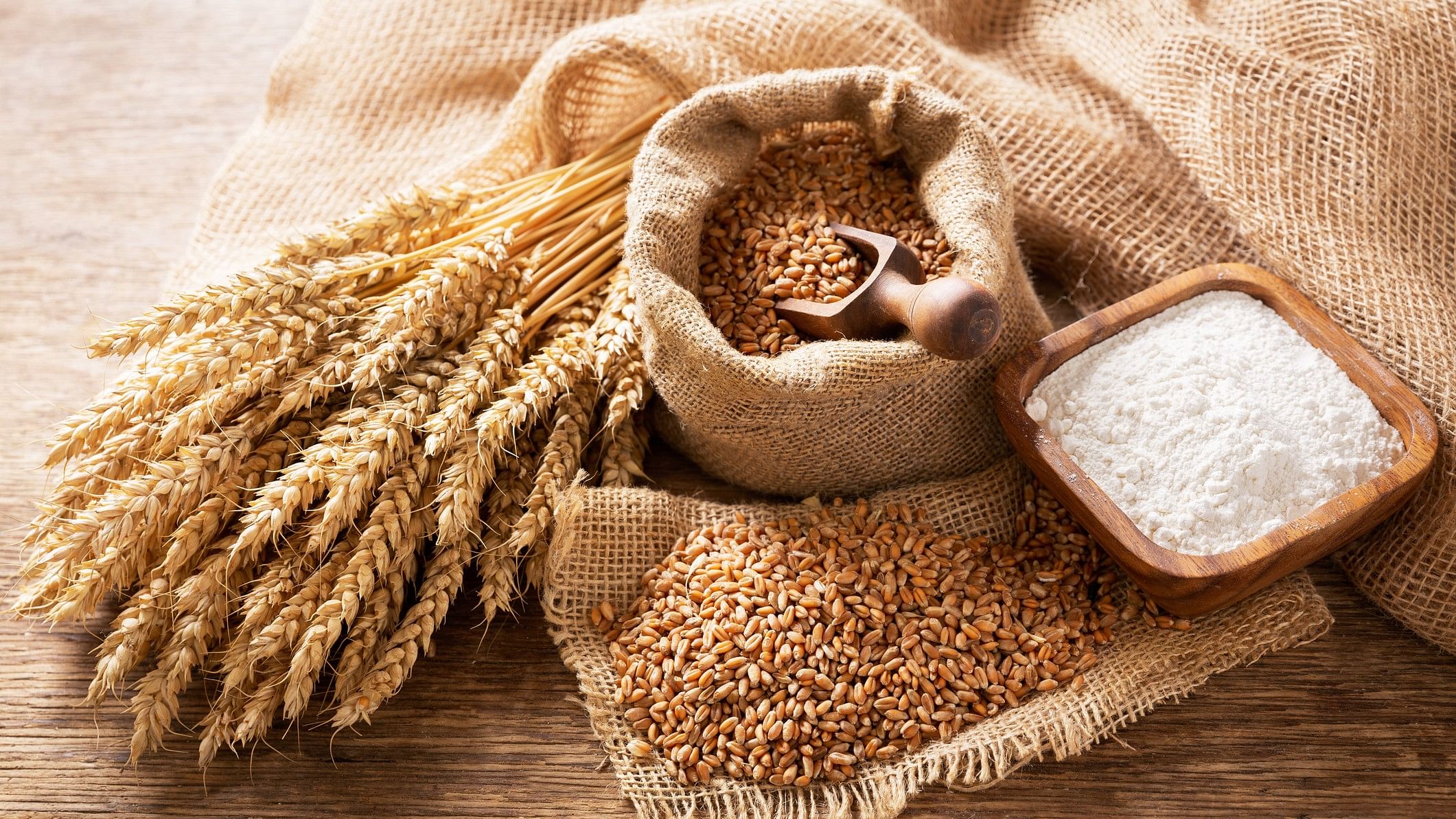 <div class="paragraphs"><p>Representative image showing wheat ears, grains, and flour.</p></div>