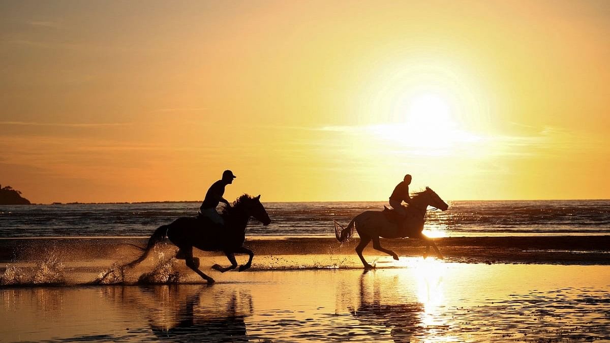 <div class="paragraphs"><p>People ride horses at sunset in Fllake, near Durres, Albania, June 7, 2024. </p></div>