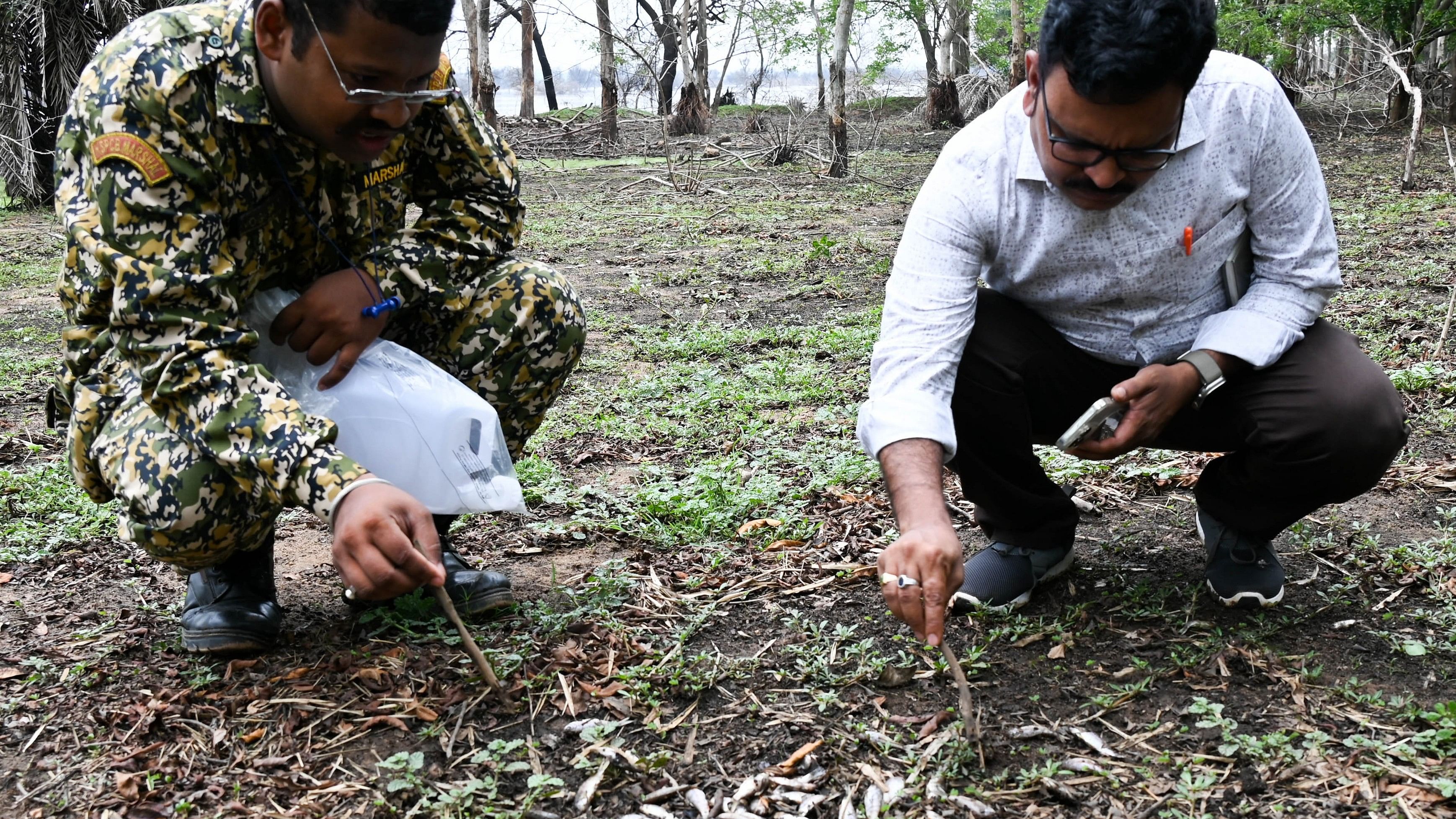 <div class="paragraphs"><p>In May, thousands of fish were discovered dead near the bamboo forest on the lake’s eastern side. </p></div>