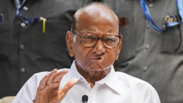 <div class="paragraphs"><p>NCP (SP) chief Sharad Pawar.</p></div>