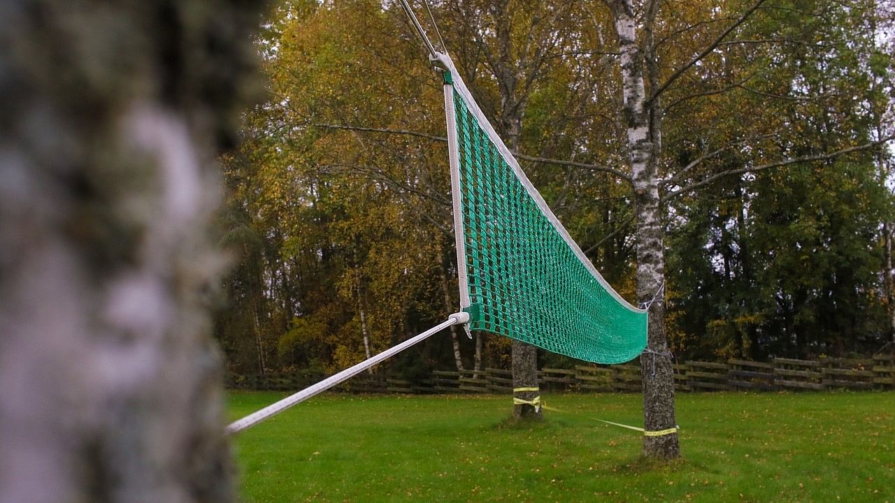 <div class="paragraphs"><p>Representative image showing&nbsp;volleyball net .</p></div>