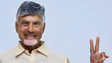 <div class="paragraphs"><p>TDP Chief Chandrababu Naidu</p></div>