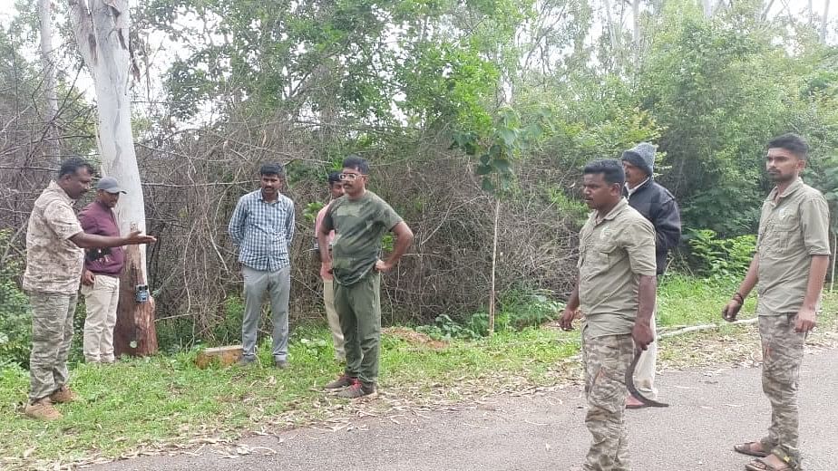 <div class="paragraphs"><p>Combing operation by special team near&nbsp;Mudalahundi Road.<br></p></div>