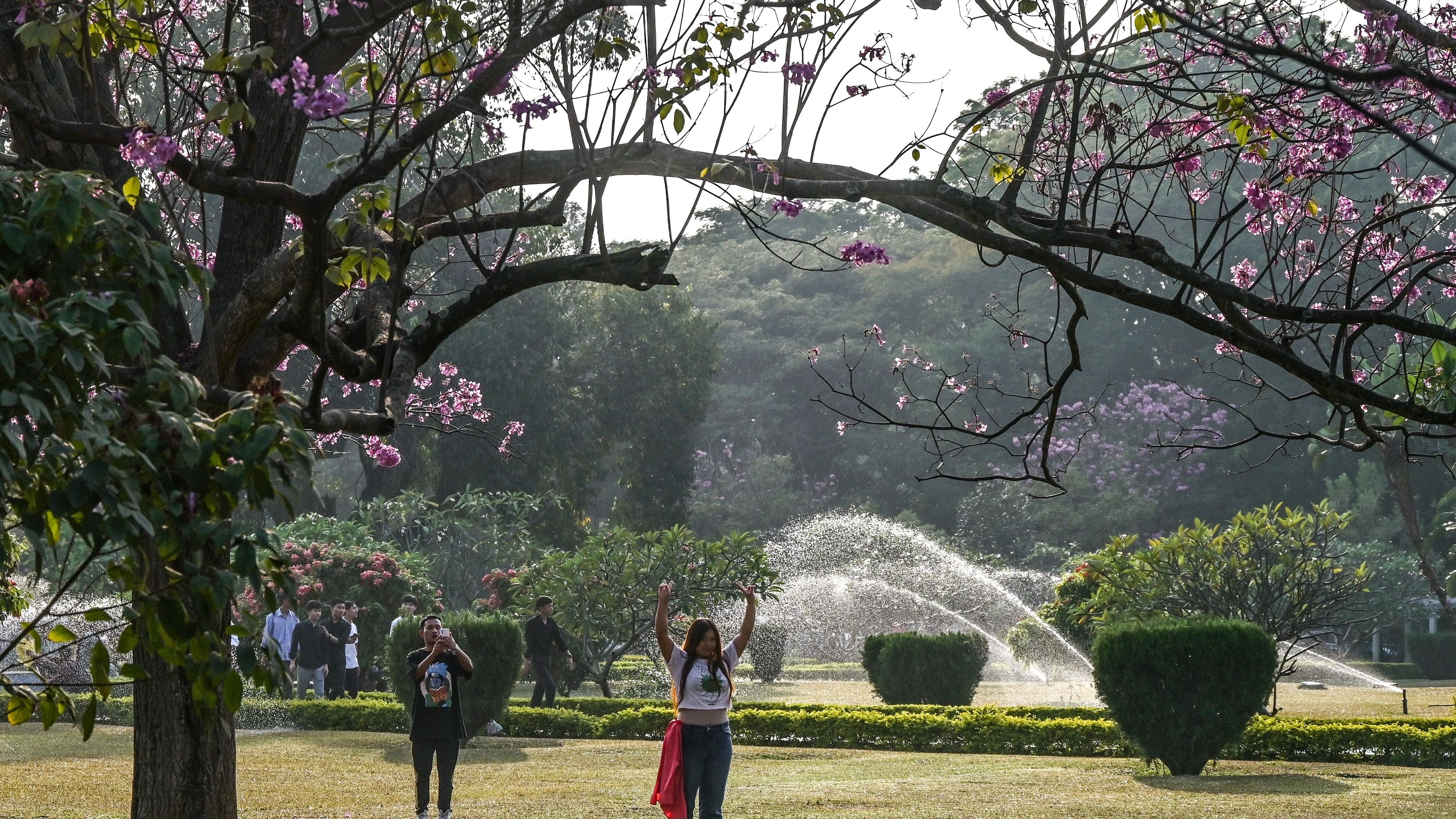 <div class="paragraphs"><p>File photo of&nbsp;Cubbon Park.</p></div>