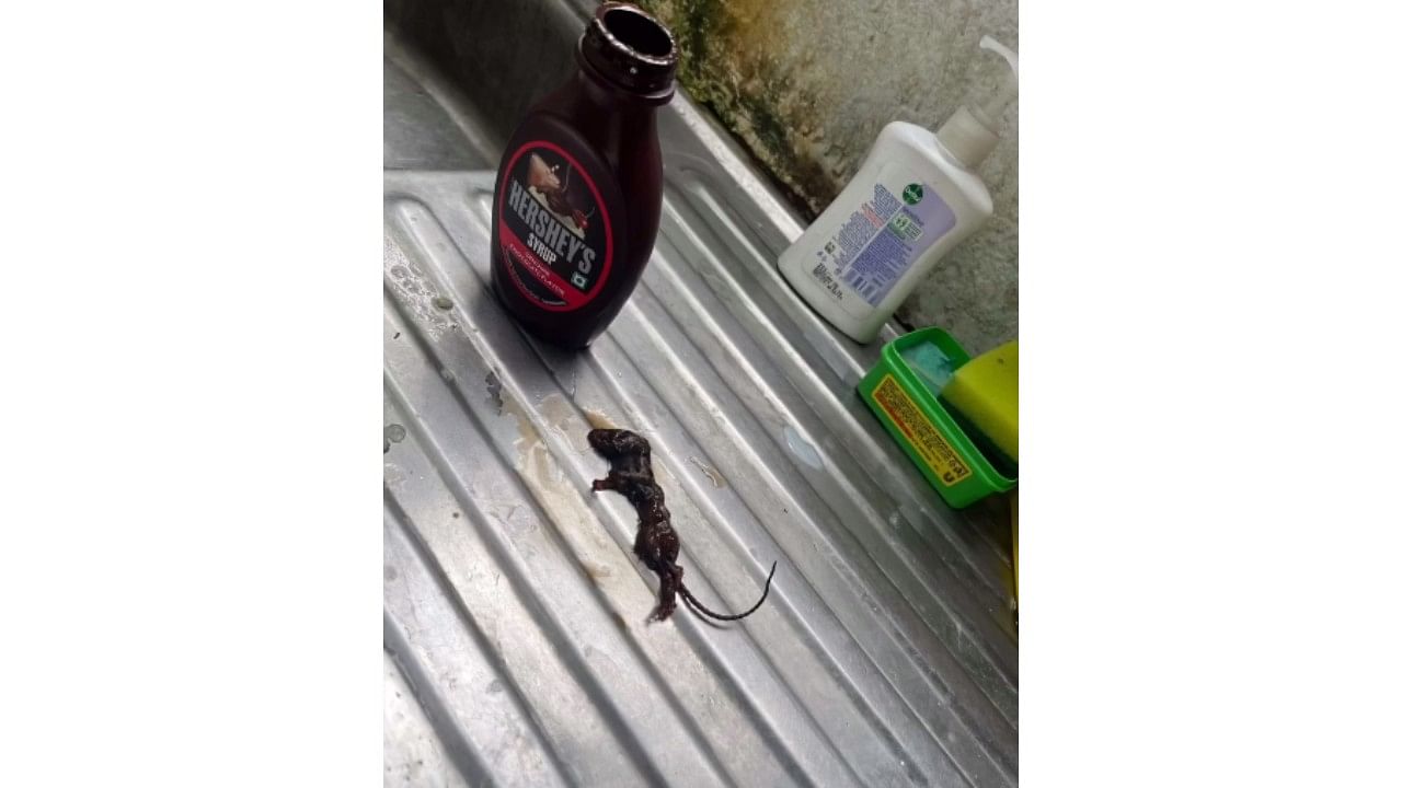 <div class="paragraphs"><p>Screengrab of the dead mouse found in the Hershey's chocolate syrup bottle after being emptied and washed for confirmation.</p></div>