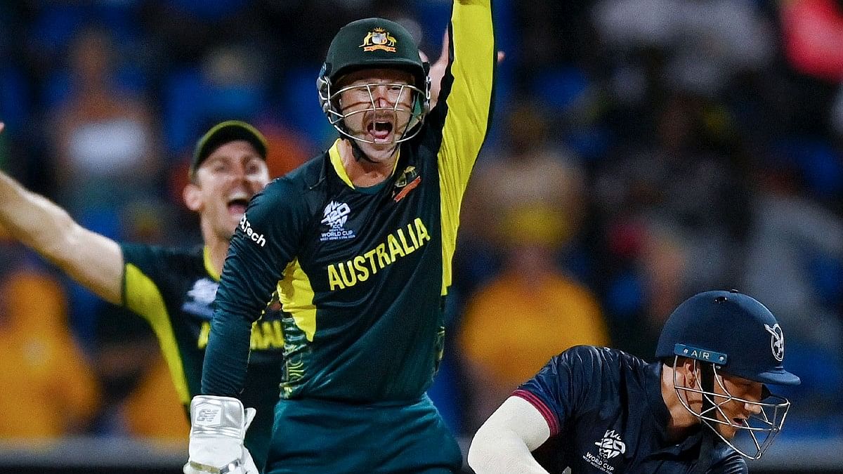 <div class="paragraphs"><p>Australia players celebrate a wicket against Namibia.&nbsp;</p></div>