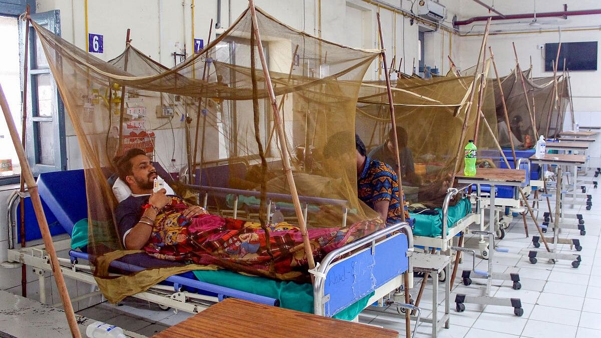 <div class="paragraphs"><p>File photo of patients at the dengue ward at a hospital. (Representative image)</p></div>