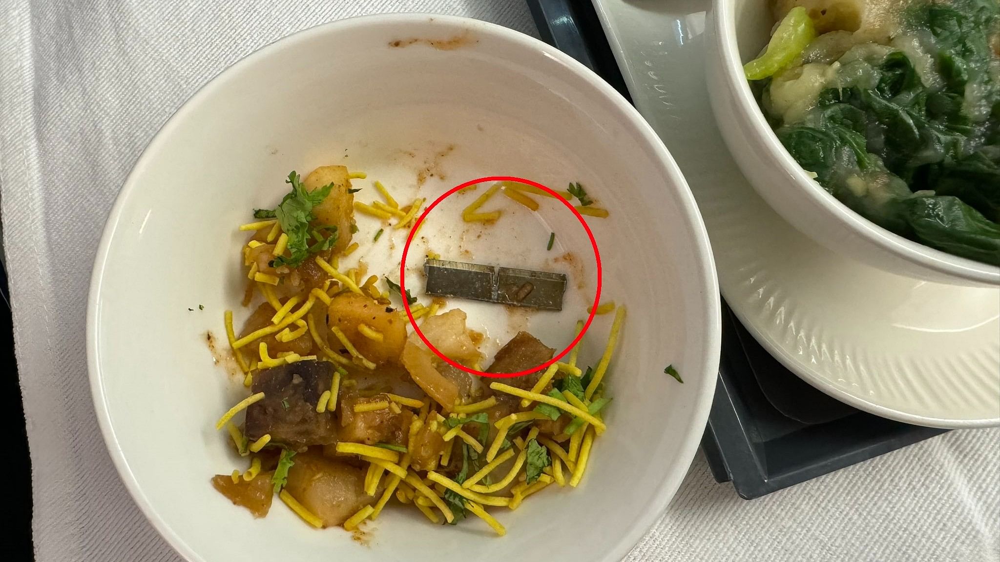 <div class="paragraphs"><p>An image showing the bowl of food in which the blade was found. Circled in red.</p></div>