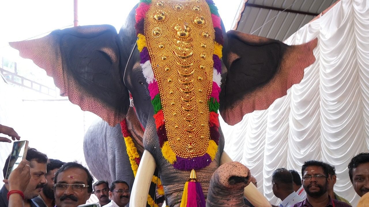 <div class="paragraphs"><p>The&nbsp;life-size mechanical elephant, at Pournamikavu Temple in Thiruvananthapuram.</p></div>