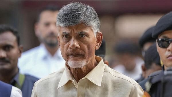 <div class="paragraphs"><p>TDP supremo N Chandrababu Naidu.</p></div>